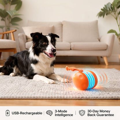 RollaPaws™ - Interactive Dog Toy