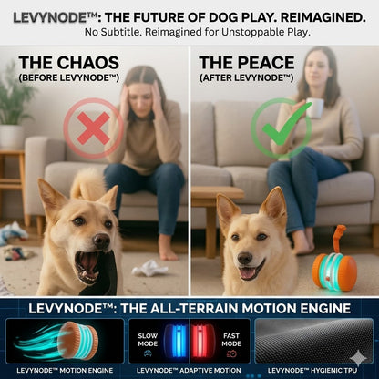 RollaPaws™ - Interactive Dog Toy